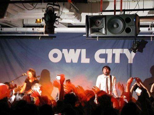 owl city