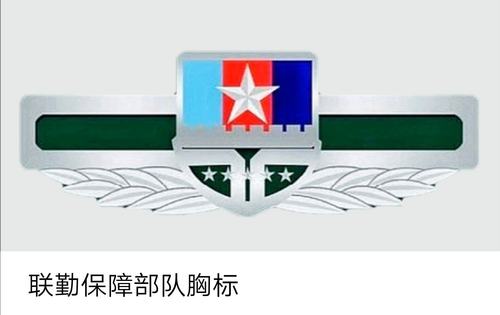 "15式"新式胸标