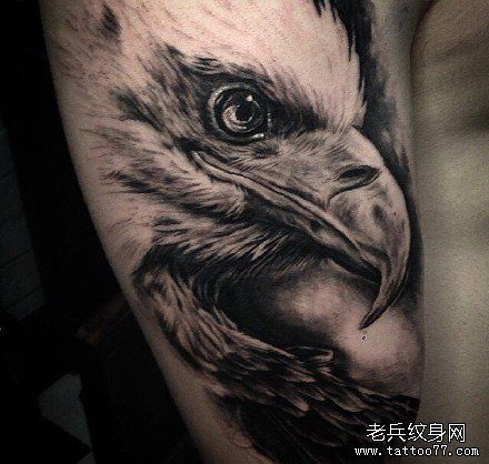 鹰纹身图案大全