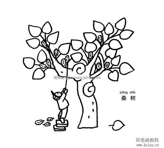 桑树简笔画