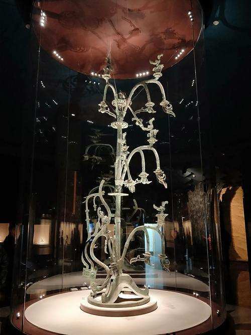 三星堆出土的"秦岭神树"是棵什么树,它有哪些鲜为人知