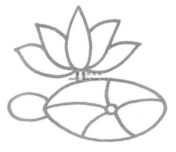 荷花儿歌和简笔画教程-儿童简笔画大全