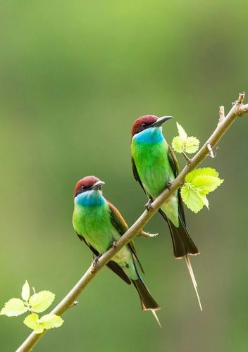 依偎在你身旁一起看日出日落!享受午后的阳光,温暖又惬意!