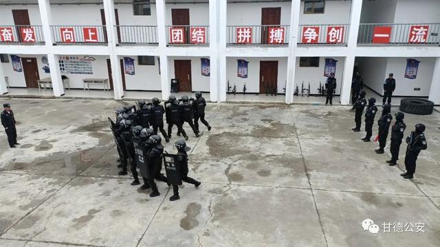 特巡警大队扎实开展应急处突专项训练
