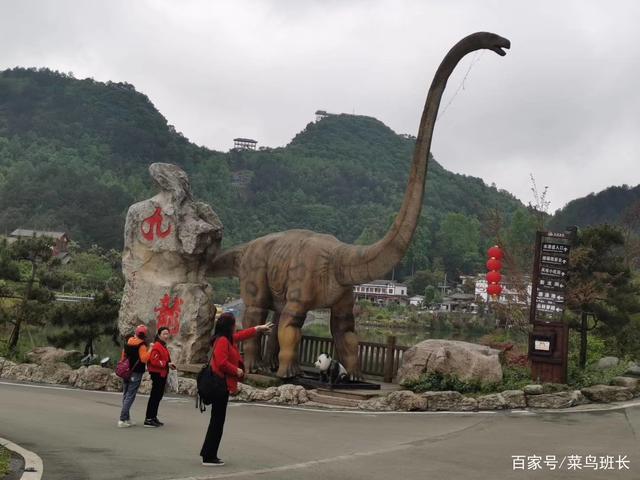 贵州省遵义市凤冈县九龙山生态园景区