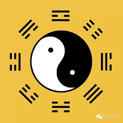 快,给你看四个大八卦!