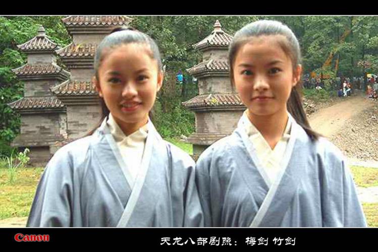 钟汉良天龙八部竹剑梅剑剧照