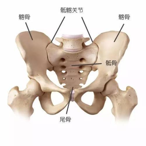 什么是骶髂骨关节炎它和强直性脊柱炎的区别有哪些