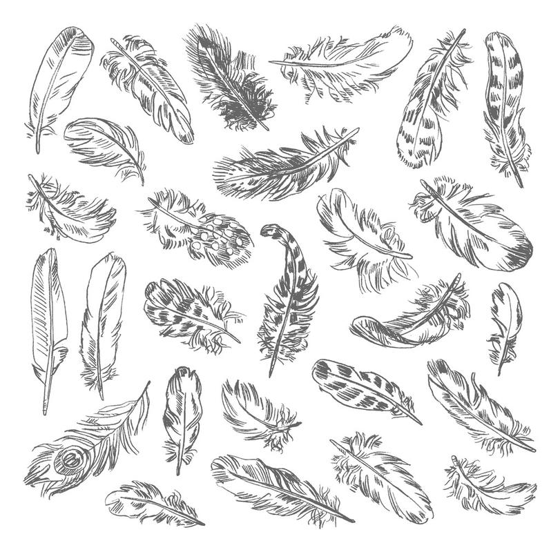 写意画鹅毛笔,写意画羽毛笔.矢量图.白色背景上孤立