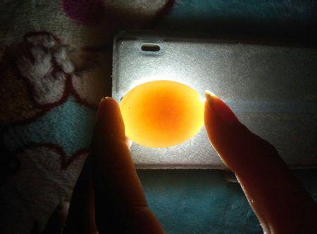 请问鸽子蛋这样的是受精蛋吗?这是两个蛋