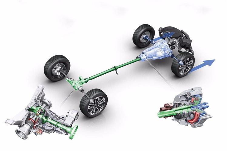 奇葩纵置前驱有什么luan用