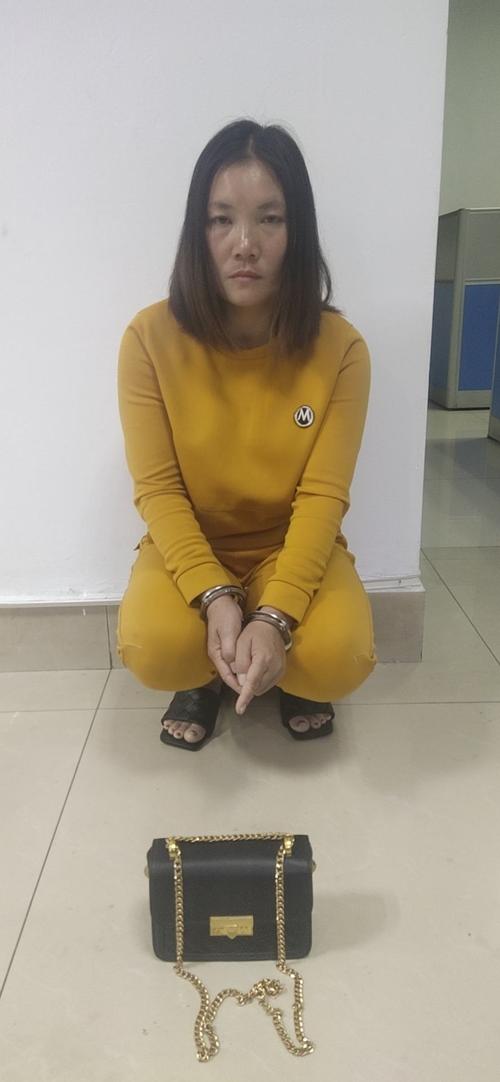 金贸便衣巡逻队连续抓获三名儋州籍女性盗窃嫌疑人