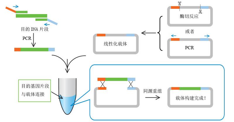 载体构建服务-蛋白质服务平台-广誉科技-生物产品与