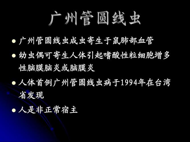 广州管圆线虫ppt