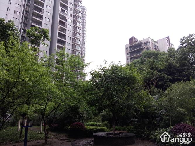 渝能国际实景图