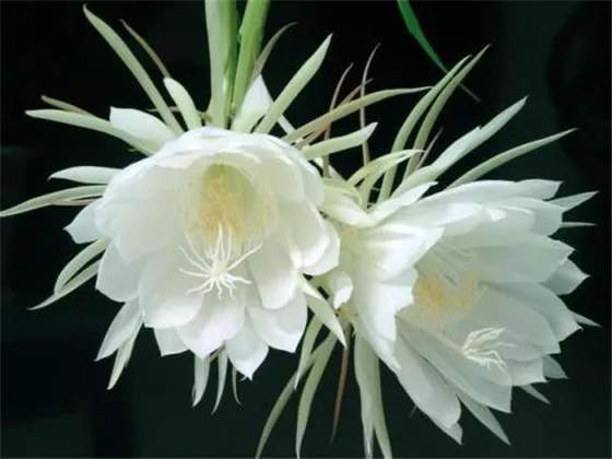 千亿百强县昙花一现,是谁制约了滕州的发展?