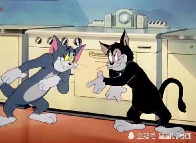 猫和老鼠:黑猫把垃圾场当超市购物,却很满足,这小日子
