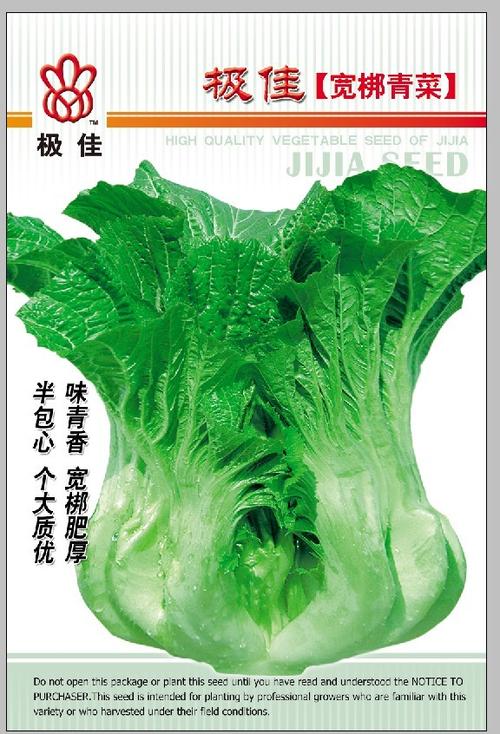 宽梆青菜