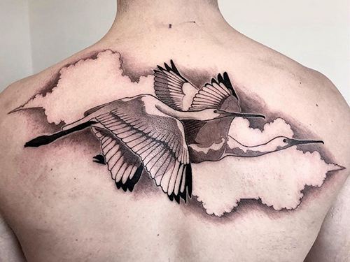 12张水彩水墨仙鹤纹身手稿图