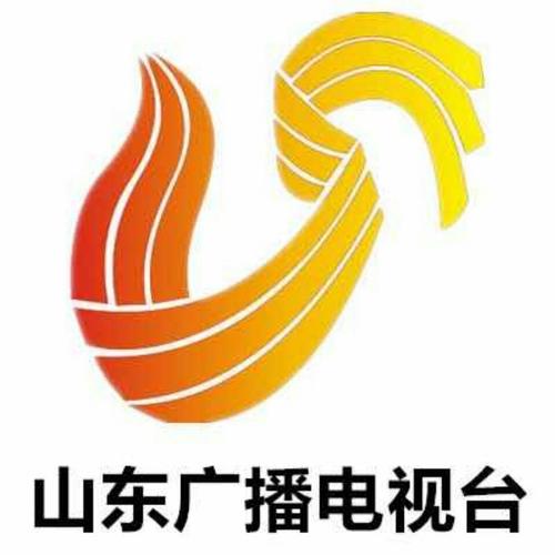 环保.来到山东电视台栏目,节目直播录制现场