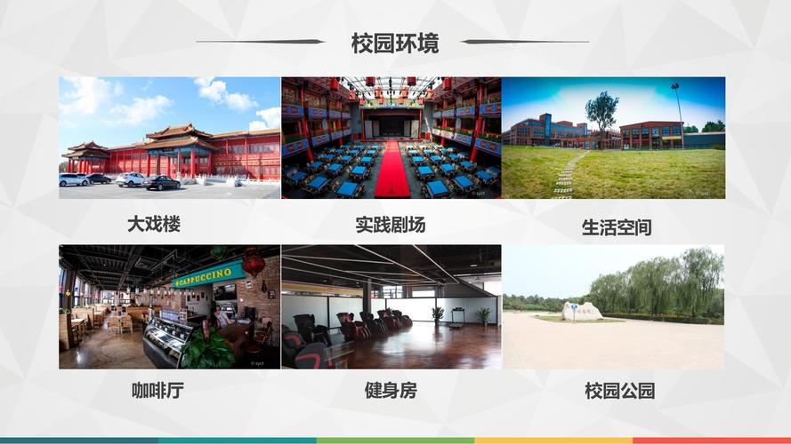 星影学院暑期艺考集训营火热报名中,表演,播音,编导,摄影四大热门课程