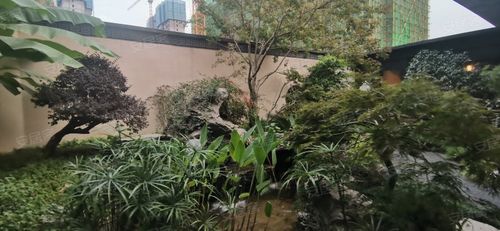 金茂建发观悦,滨河路-长沙金茂建发观悦二手房,租房