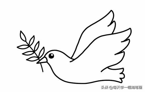 白鸽简笔画三步完成白鸽子简笔画的画法