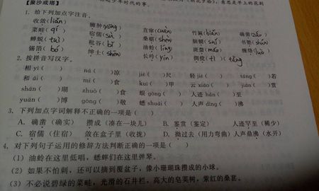 第二题,按拼音写汉字咋写啊!