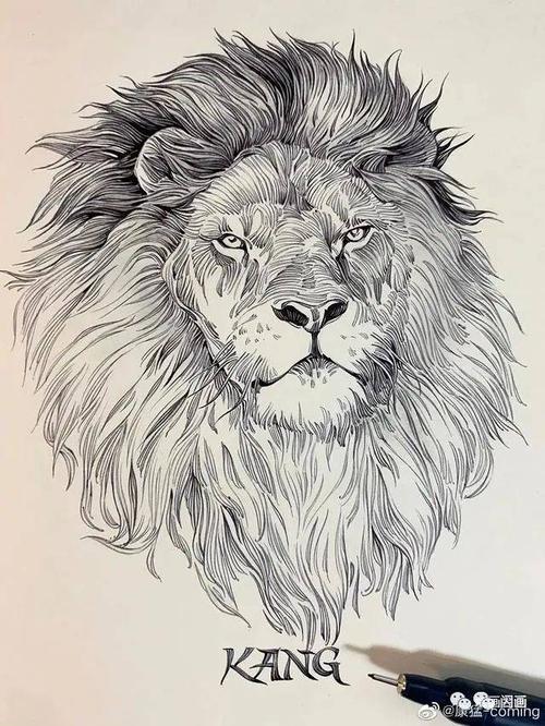 满屏都是线条的动物手绘帅爆了