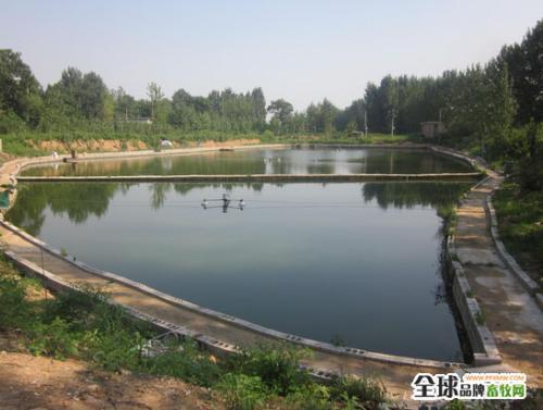 一亩鱼塘的产量有多少?