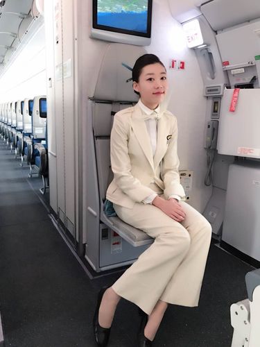 大韩航空范老师 免费为您进行空乘专业面试评测