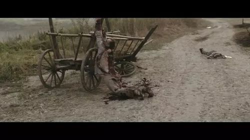 当第二天太阳照常升起,沃伦已经彻底变成了 人间地狱.