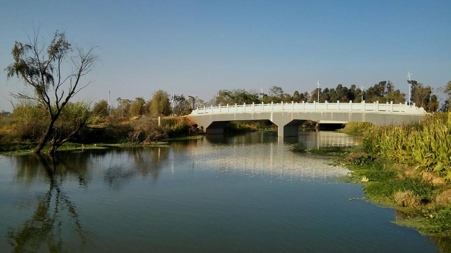 环湖东路湿地公园