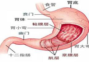 巨胃窦症的症状,巨胃窦症怎么办,巨胃窦症护理_引起