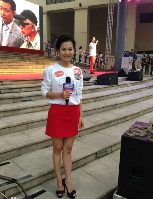 【★☆〖方亭〗☆★】新闻节目主持人名录●白天鹅网