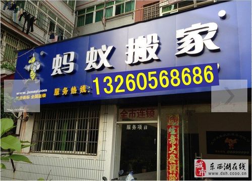 东西湖区蚂蚁搬家 13260568686