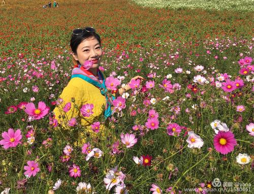 2018,10,3,句容伏热花海