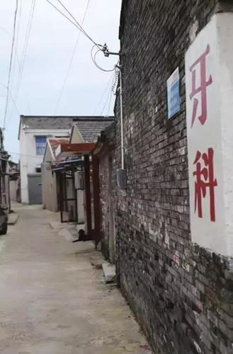 (以上素材由高邮市临泽镇人民政府提供) (视听高邮)