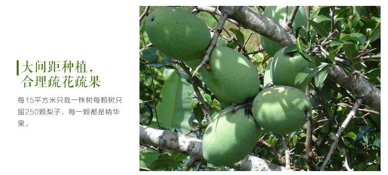 云南大理野生新鲜宣木瓜白木瓜酸木瓜青木瓜1斤 可做菜泡酒菜木瓜