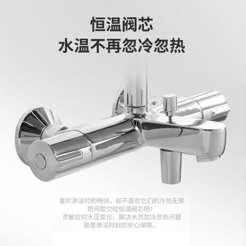 科勒齐乐恒温花洒三出出水淋浴20691t挂墙式硬淋浴花洒龙头(套装)
