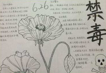 一年级简笔画禁毒手抄报 一年级简单手抄报