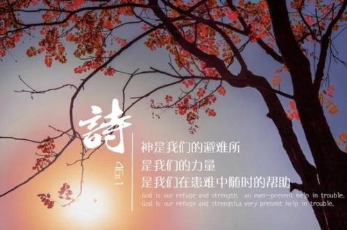 圣经经文金句图片鉴赏