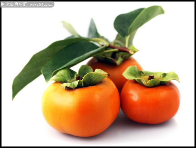 新鲜柿子水果摄影高清图片素材