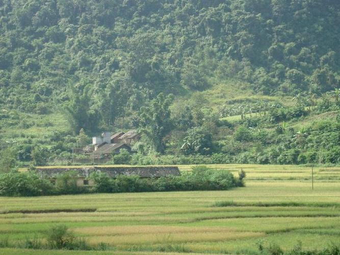 县东北部,距富宁县城103公里,东接广西百色市阳圩镇,南连本县者桑乡