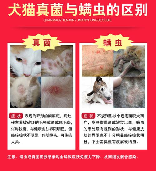 狗狗皮肤病药浴猫癣藓真菌沐浴露好评好店