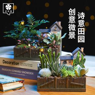 微景观植物创意盆栽苔藓植物盆景diy迷你盆栽绿植微景观摆件桌面