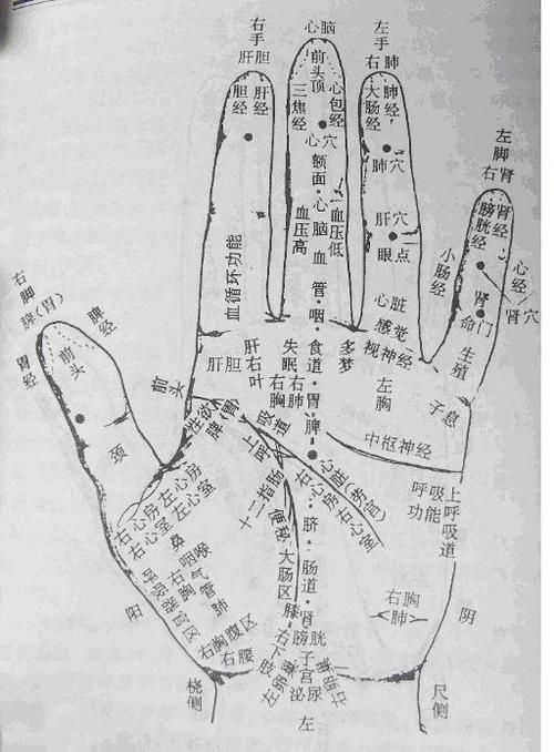平甩30分钟前后手指的变化及手诊判断排毒区
