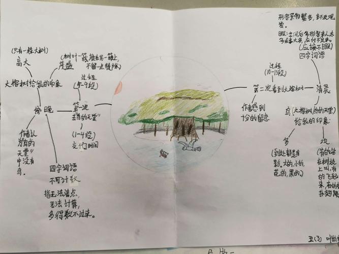 思维导图《鸟的天堂》