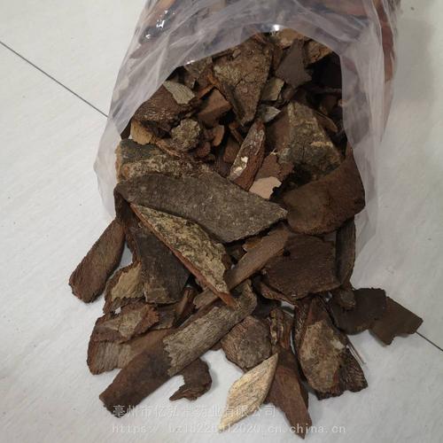 of chinese hydrangeavine 别名追地枫,桐叶藤,全叶钻地风,利筋藤