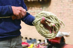 千摇万摇拧长绳(组图)